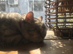 -小时光咖啡馆(北锣鼓巷店)
