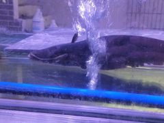 -广客美食坊(丹霞山店)