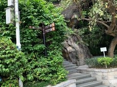 -金鸡山公园