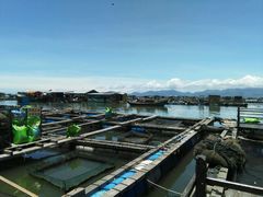 -海上驿站渔家菜馆