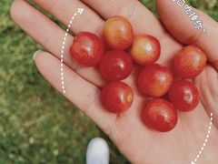 -樱桃山旅游景区