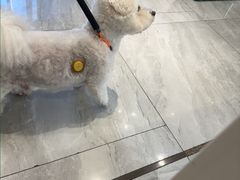 -北京派仕佳德动物医院·超导核磁·CT·神经科·骨科·内外科·急重症管理中心