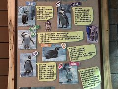 -合肥野生动物园