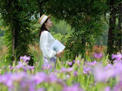 -上海长兴岛郊野公园