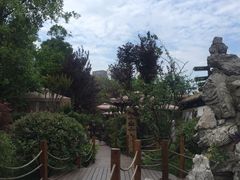 -二荆条·蜀鲜汇城市森林火锅