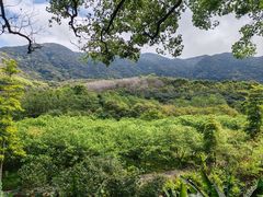 -福清灵石山国家森林公园
