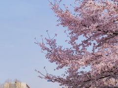 -江南大学(蠡湖校区)