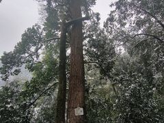 -青城山