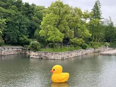 -广富林郊野公园