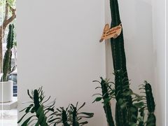 -收获咖啡HARVEST RESERVE(苍山店)
