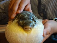 -永安鱼庄·镇江菜(丁卯店)