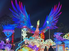 -花博汇(知音花月夜)