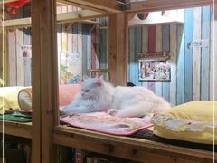 -小时光咖啡馆(开森度假森林店)