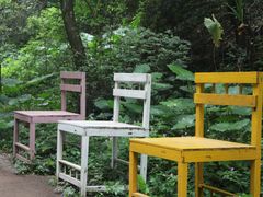 -桂林古东瀑布景区