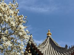 -西安市广仁寺