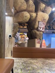 -卡通尼·Safari非洲探索乐园·生日会(金桥国际商业广场店)