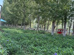 -汉长安城未央宫国家考古遗址公园