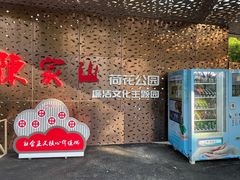 -陈家山荷花公园