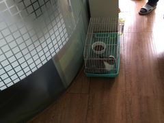 -乐融婴幼儿成长中心(四季青校区)