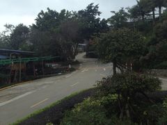 -广州市石门国家森林公园