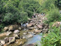 -广州白江湖森林公园