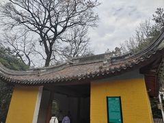 -溪口-滕头旅游景区