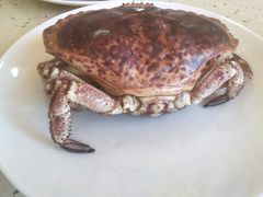 -港畔赶海蒸汽海鲜烧烤自助(仙螺岛店)
