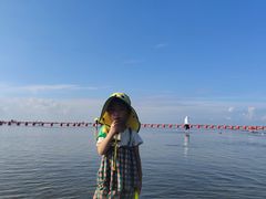 -红树林天天赶海