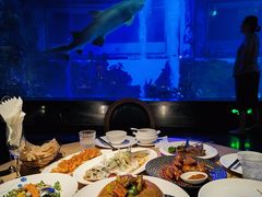 -鲨鱼餐厅.海景川粤餐厅(重庆天地店)