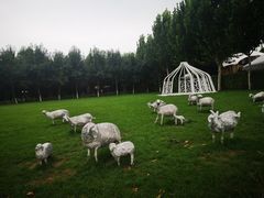 -九十九顶毡房(阜石路店)