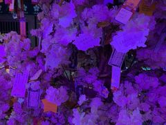 -长藤鬼校(钟楼店)