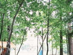 -长白山万达锦华套房酒店