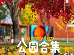 -大望京公园