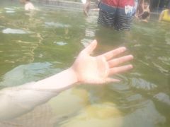 -息烽温泉