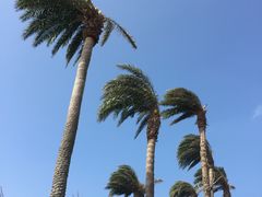 -鹅銮鼻公园