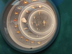 -中国湿地博物馆