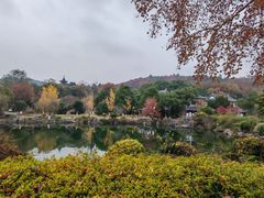 -善卷洞风景区