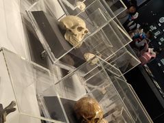 -北京周口店北京人遗址博物馆