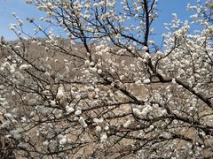 -天津盘山风景名胜区