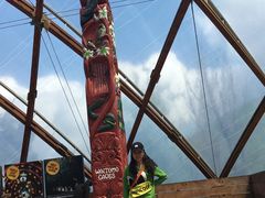 -怀托摩萤火虫洞