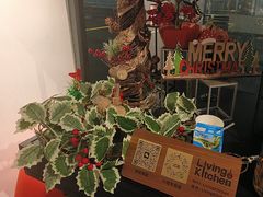 -Living Kitchen团建·厨艺派对空间(国贸店)