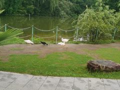 -大宁郁金香公园-停车场