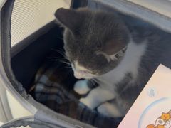 -宠颐生汉谟拉比宠物医院