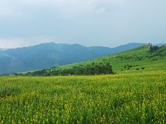 -灵山