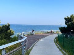 -小麦岛公园