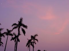-海堤纪念公园