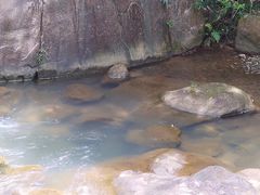 -广州白江湖森林公园