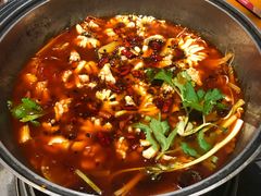 -重庆乌鱼庄·龙滋鲜(青羊大道店)