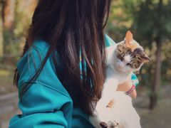 -四门塔风景区
