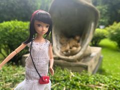 -晓港公园
